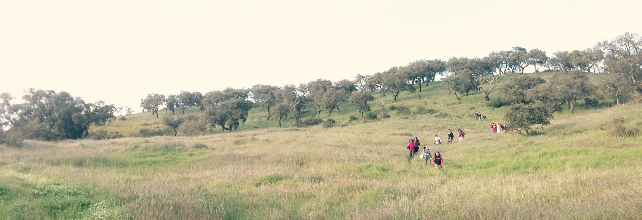 FullSizeRender - Copy